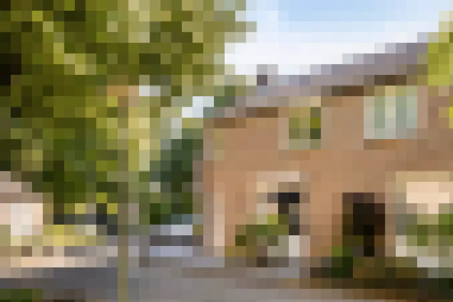 Camphaag 25 Maastricht thumbnail 33