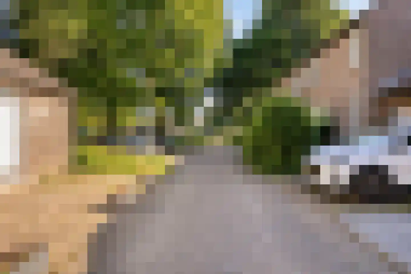 Camphaag 25 Maastricht thumbnail 38