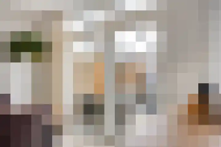 Camphaag 36 Maastricht thumbnail 15