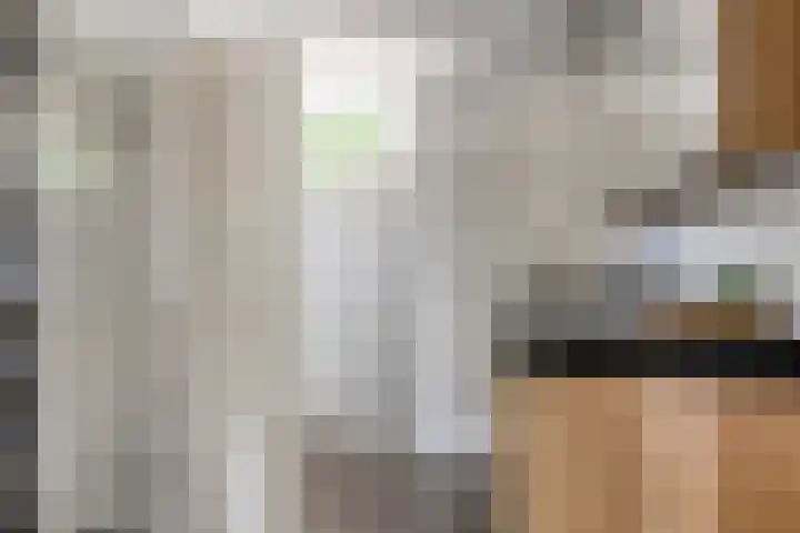 Camphaag 36 Maastricht thumbnail 21