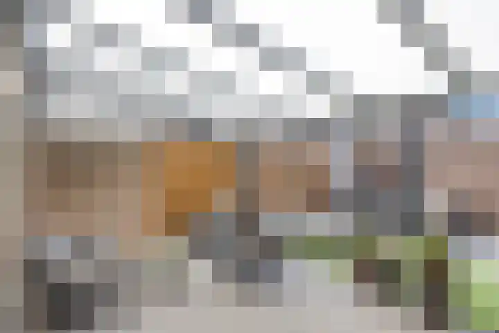 Camphaag 36 Maastricht thumbnail 30