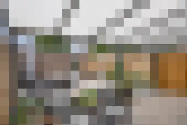 Camphaag 36 Maastricht thumbnail 31