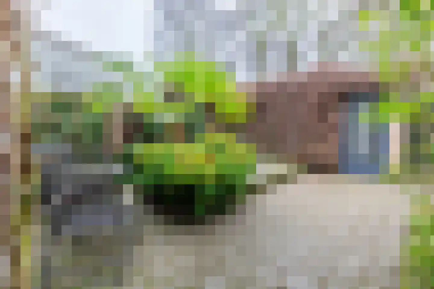 Camphaag 55 Maastricht thumbnail 22