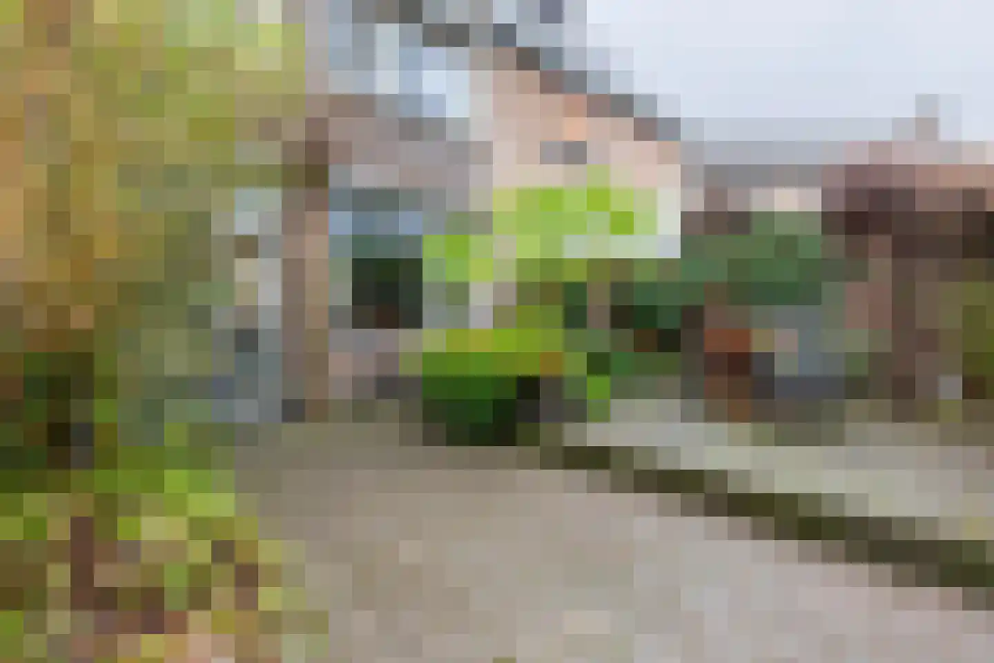 Camphaag 55 Maastricht thumbnail 23