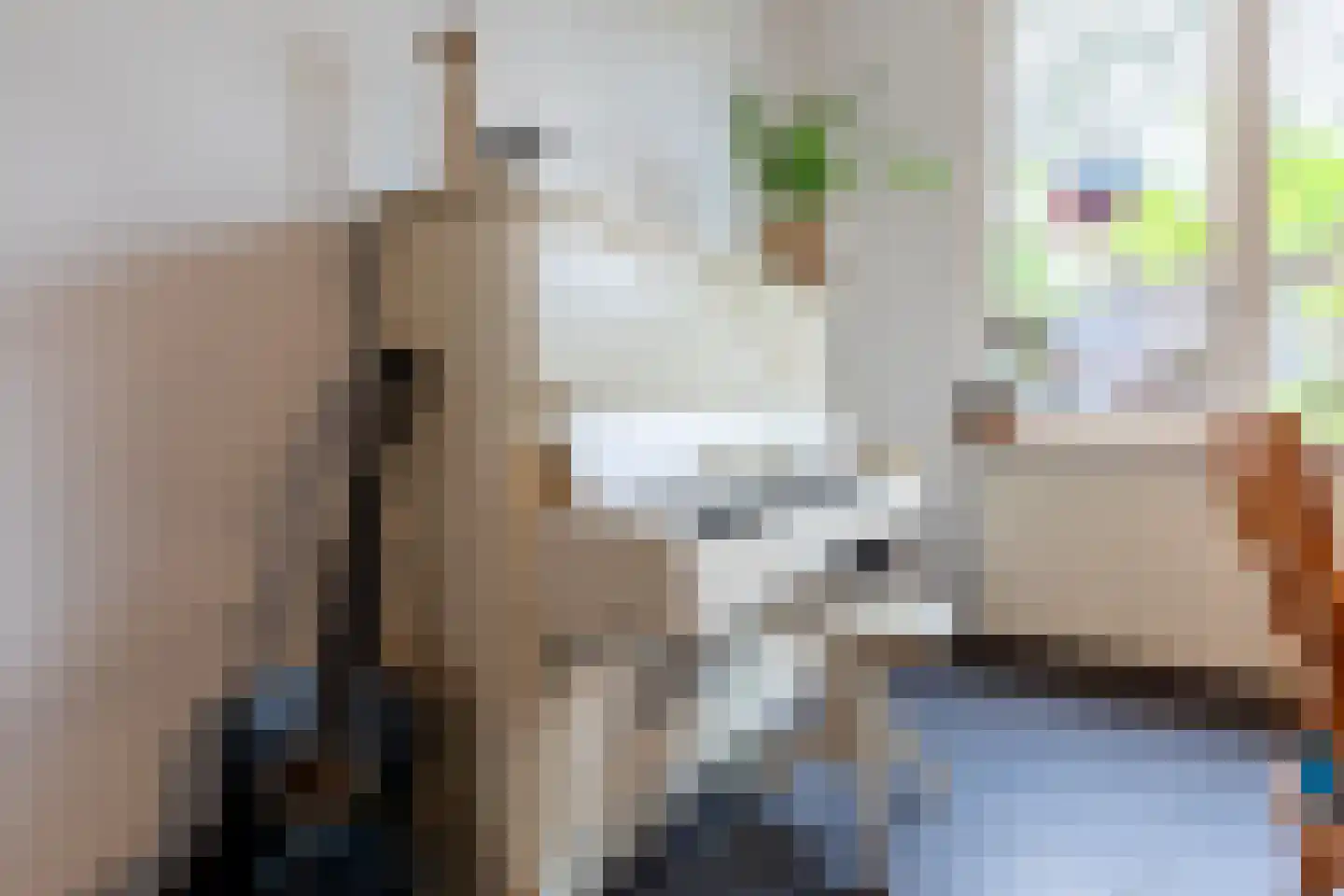 Camphaag 55 Maastricht thumbnail 9
