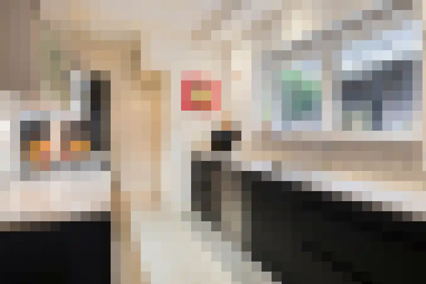 Campherbeeklaan 34 Zwolle thumbnail 17