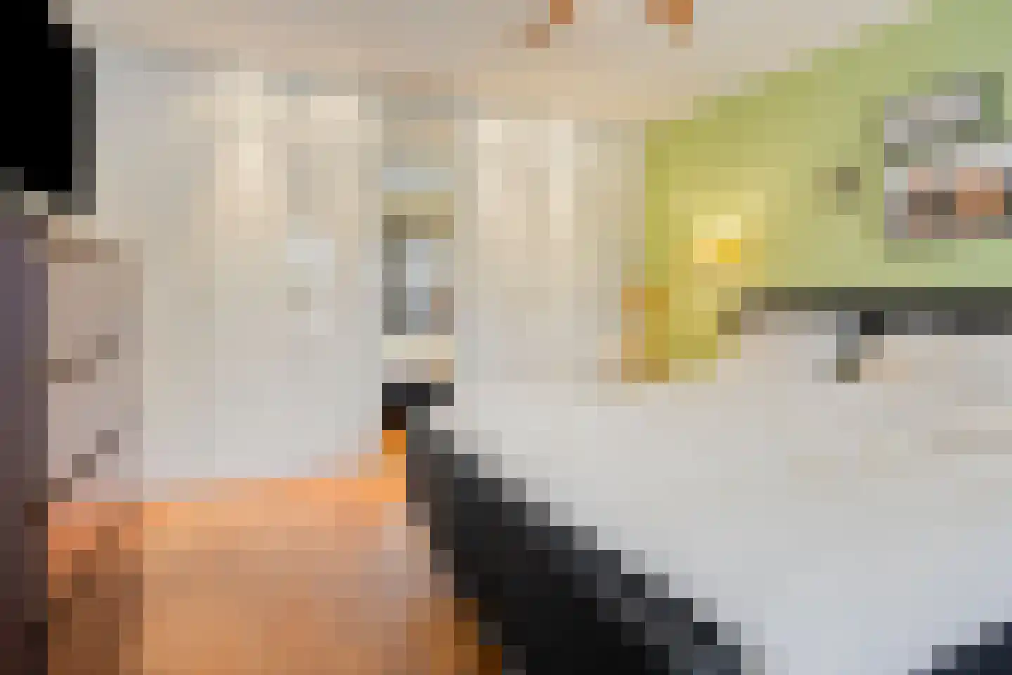 Campherbeeklaan 34 Zwolle thumbnail 21