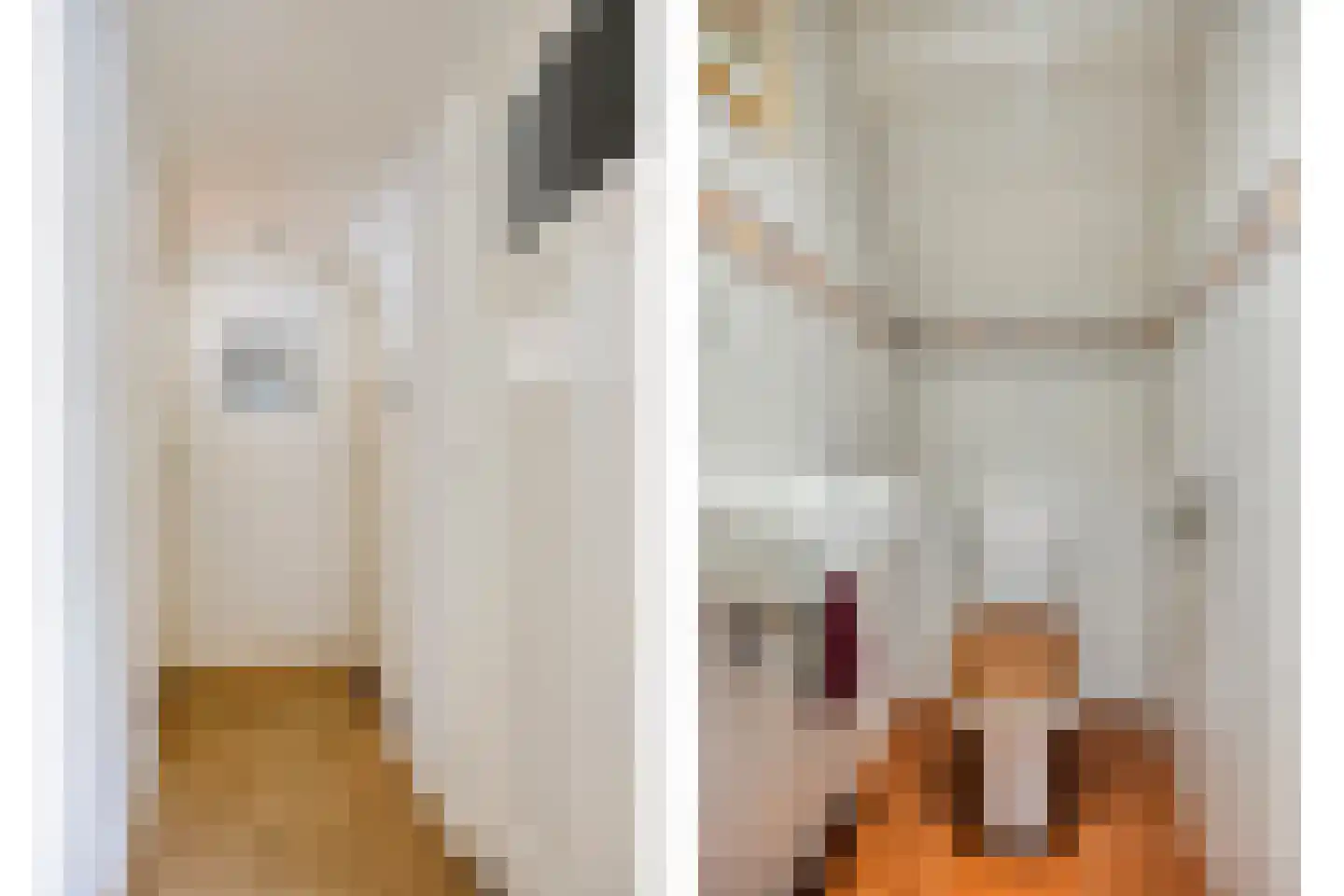 Campherbeeklaan 34 Zwolle thumbnail 31