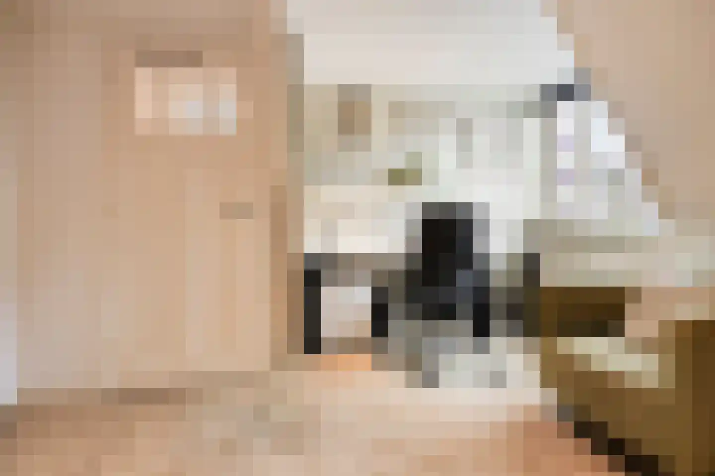Campherbeeklaan 34 Zwolle thumbnail 33