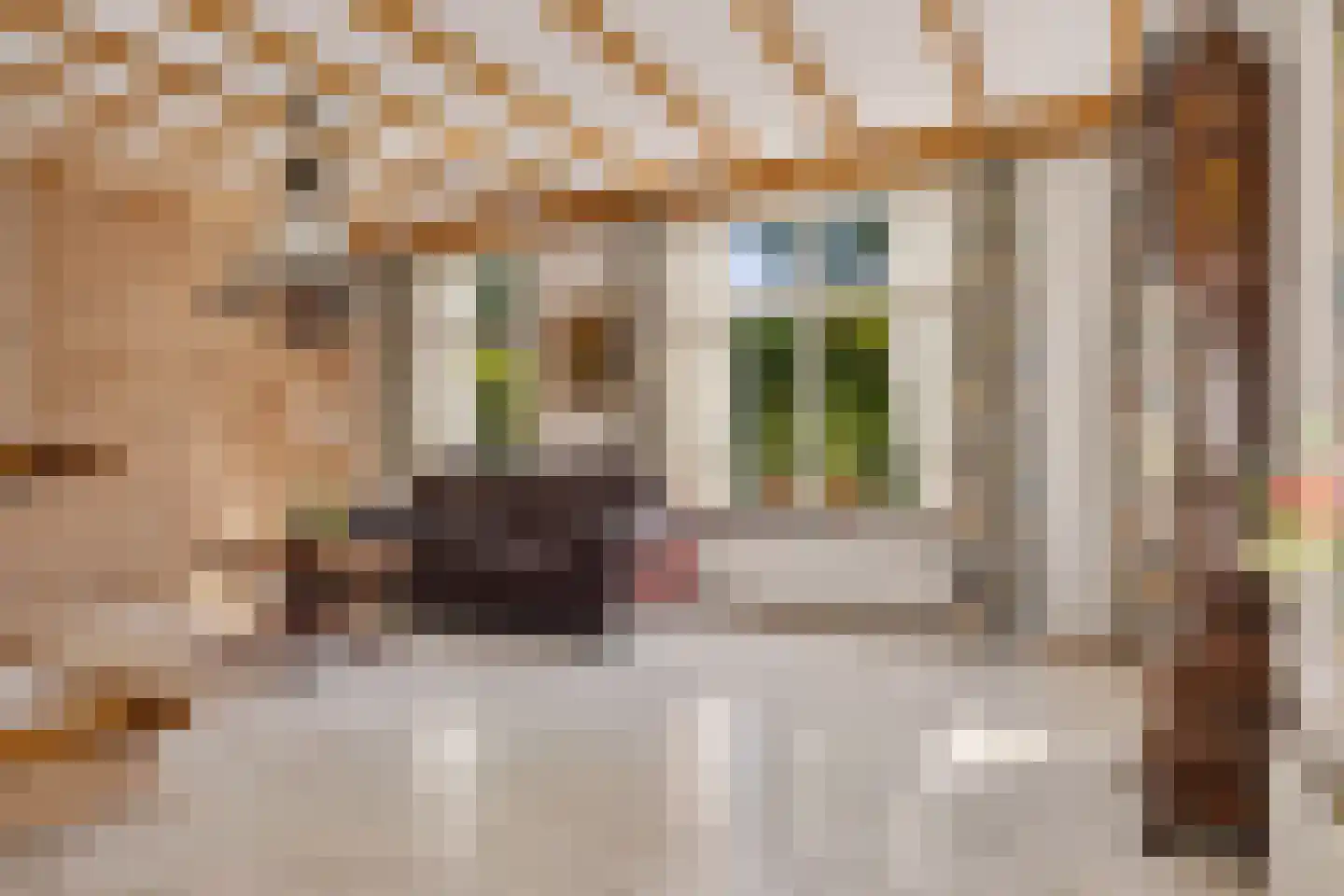 Campherbeeklaan 36 Zwolle thumbnail 12