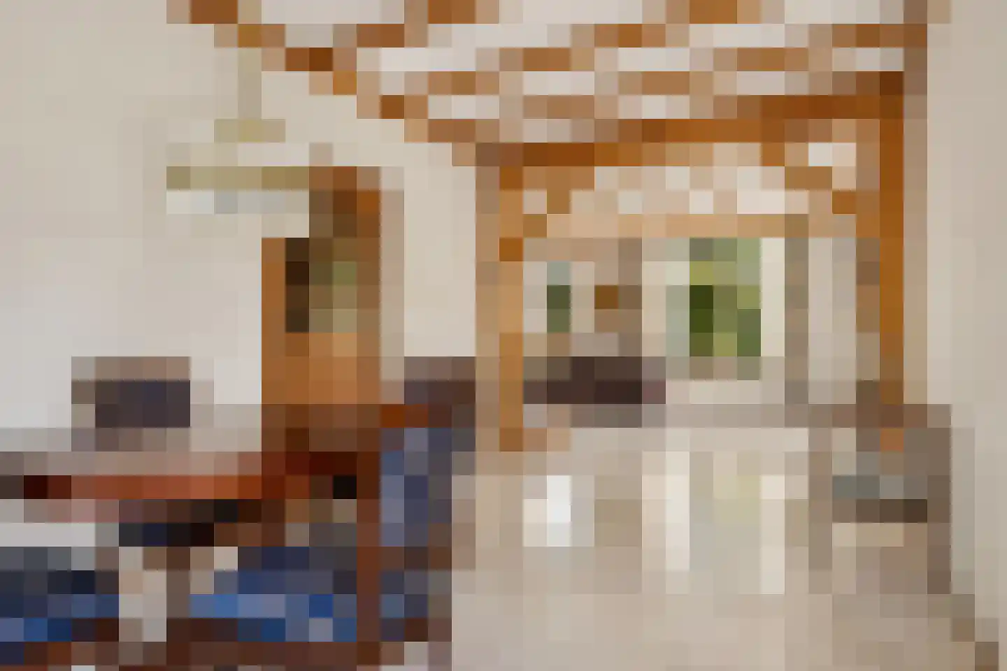 Campherbeeklaan 36 Zwolle thumbnail 13