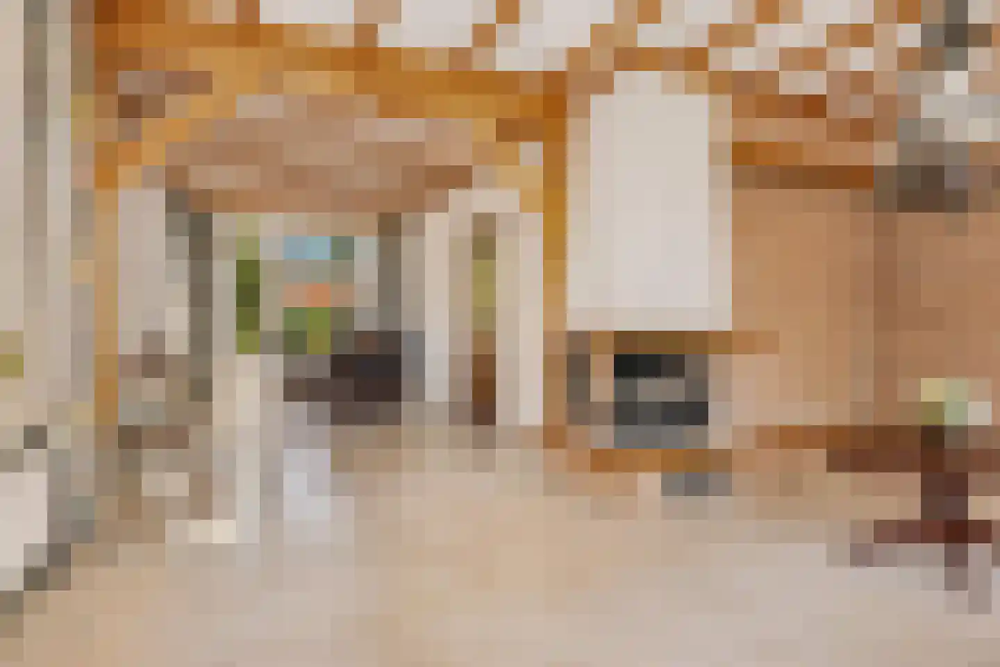 Campherbeeklaan 36 Zwolle thumbnail 15