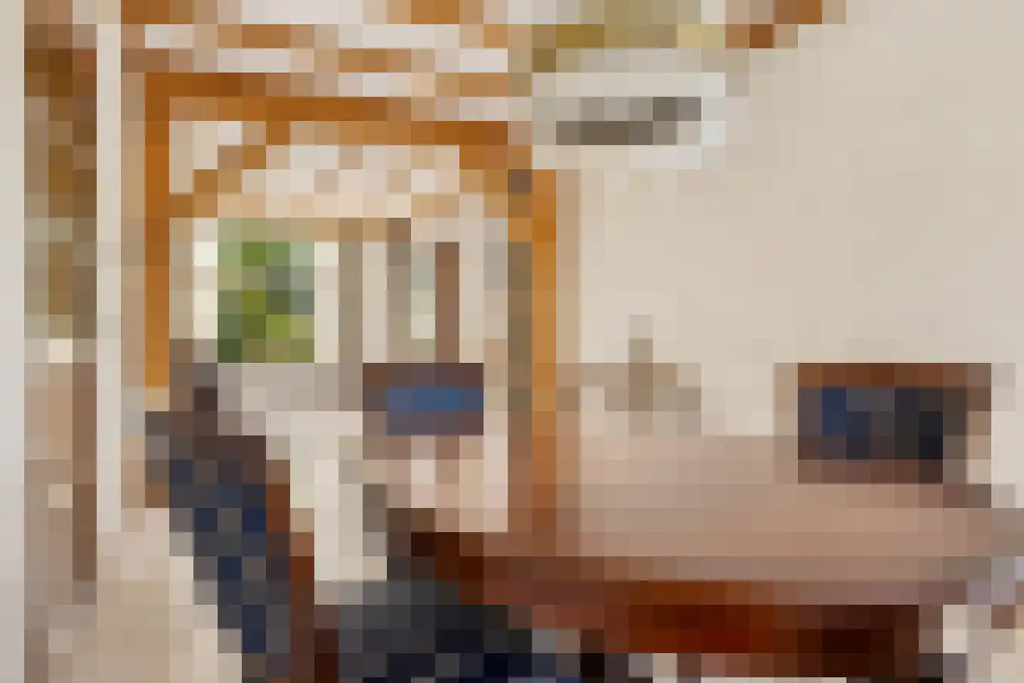 Campherbeeklaan 36 Zwolle thumbnail 16
