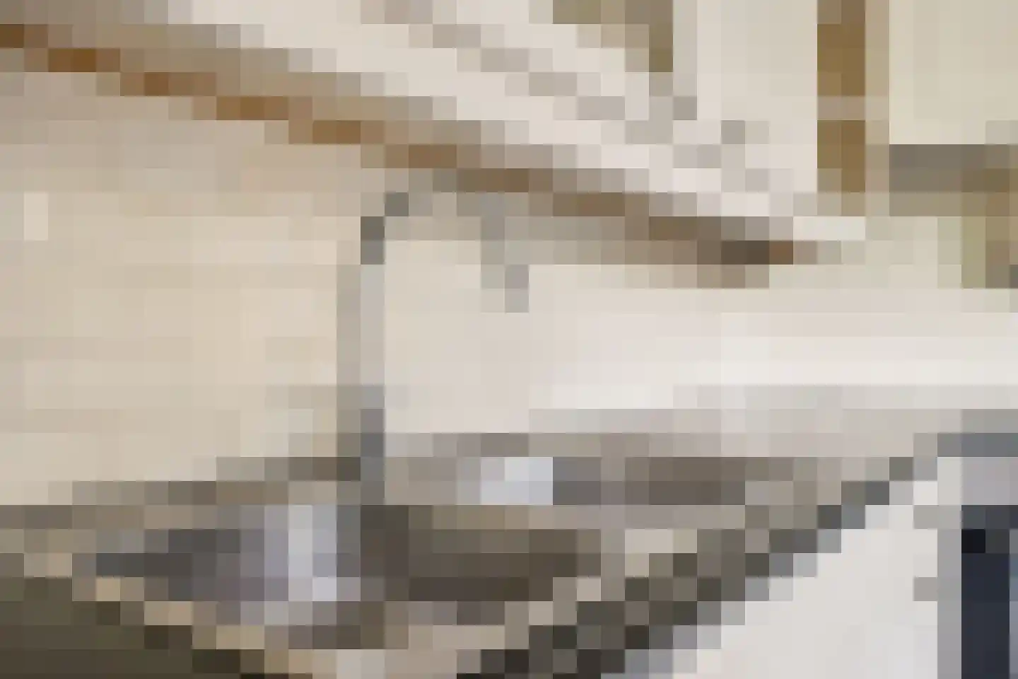 Campherbeeklaan 36 Zwolle thumbnail 20