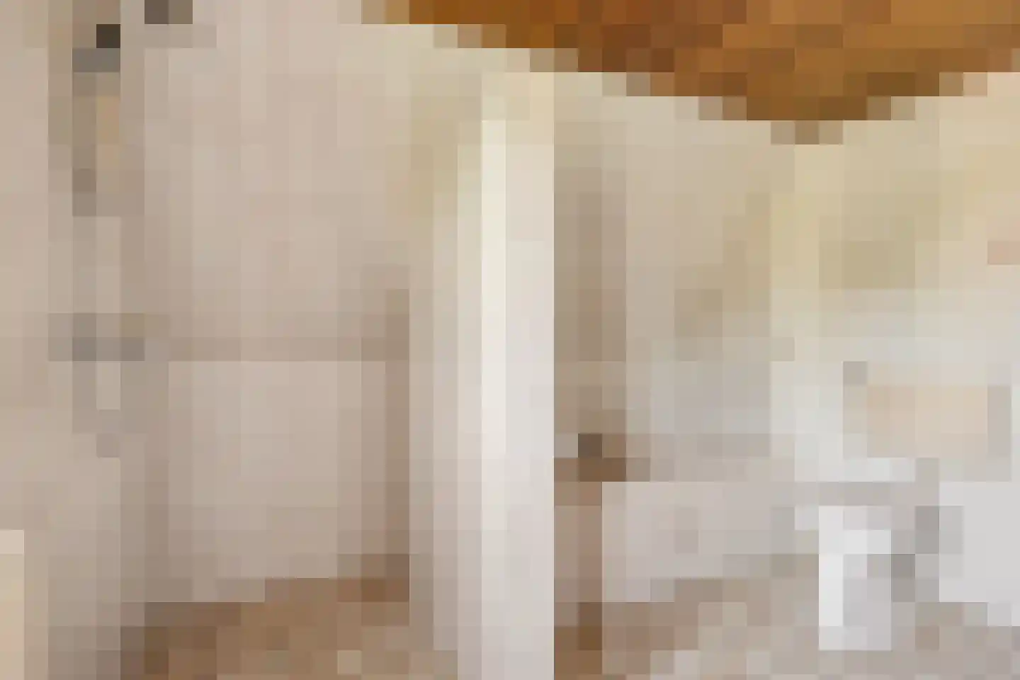 Campherbeeklaan 36 Zwolle thumbnail 34