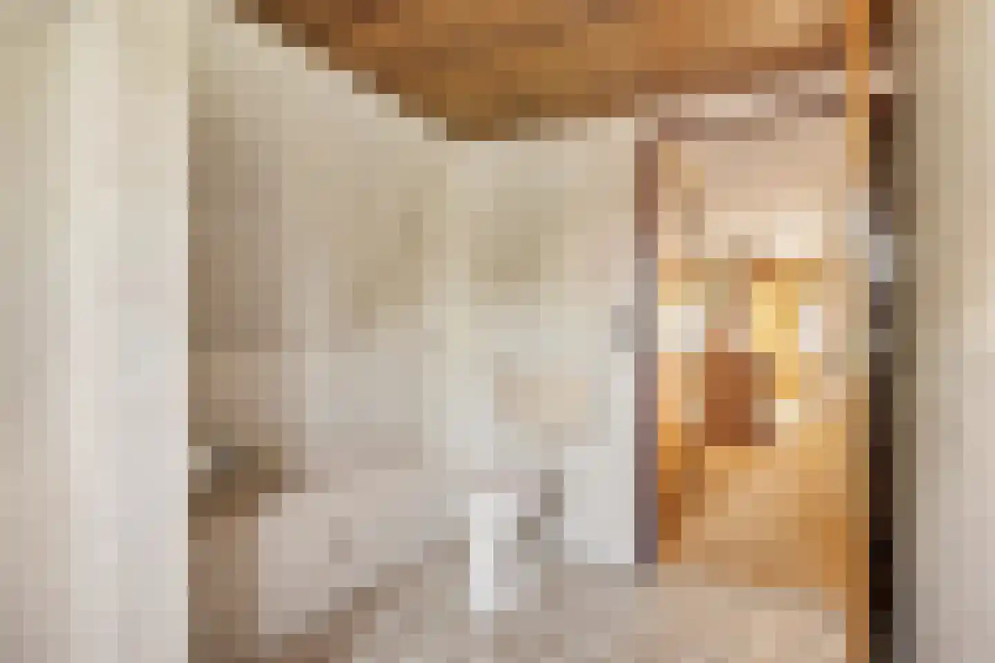 Campherbeeklaan 36 Zwolle thumbnail 35