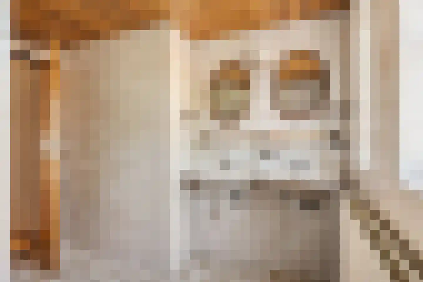 Campherbeeklaan 36 Zwolle thumbnail 36