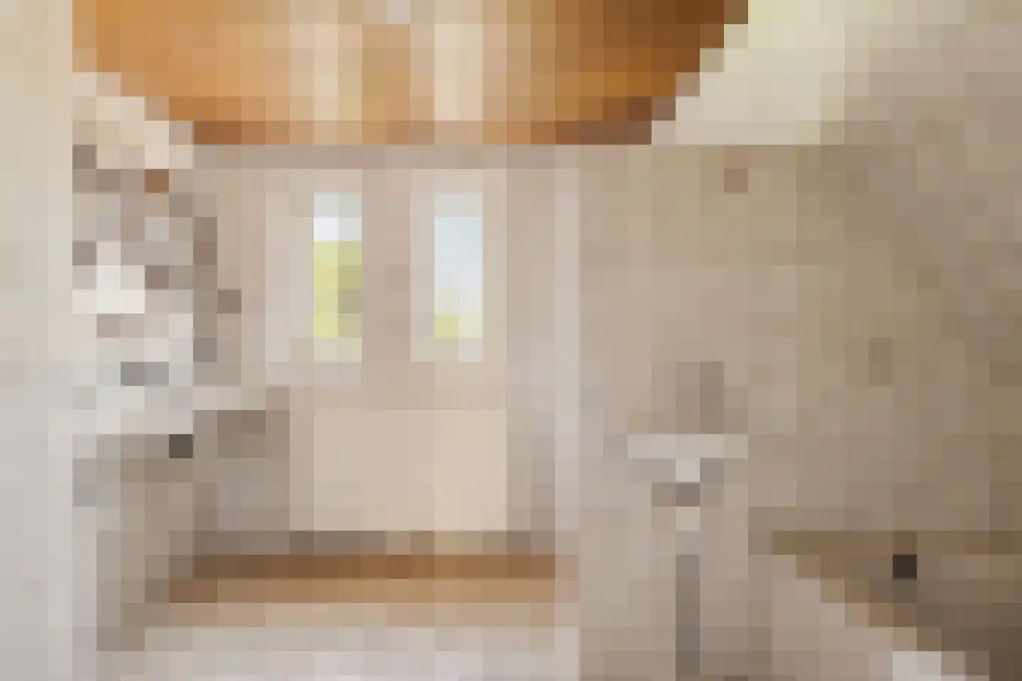 Campherbeeklaan 36 Zwolle thumbnail 37