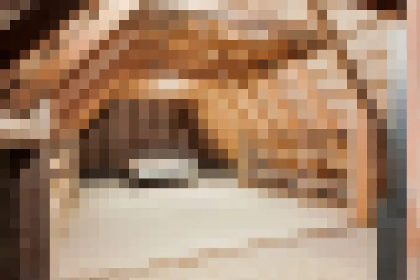 Campherbeeklaan 36 Zwolle thumbnail 39