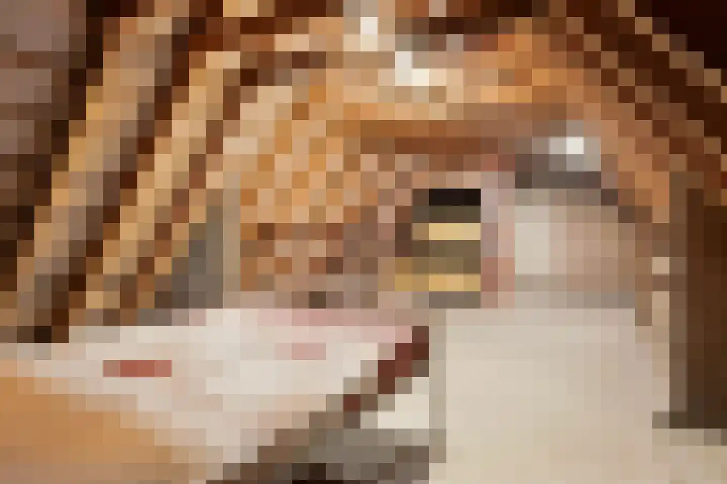 Campherbeeklaan 36 Zwolle thumbnail 40