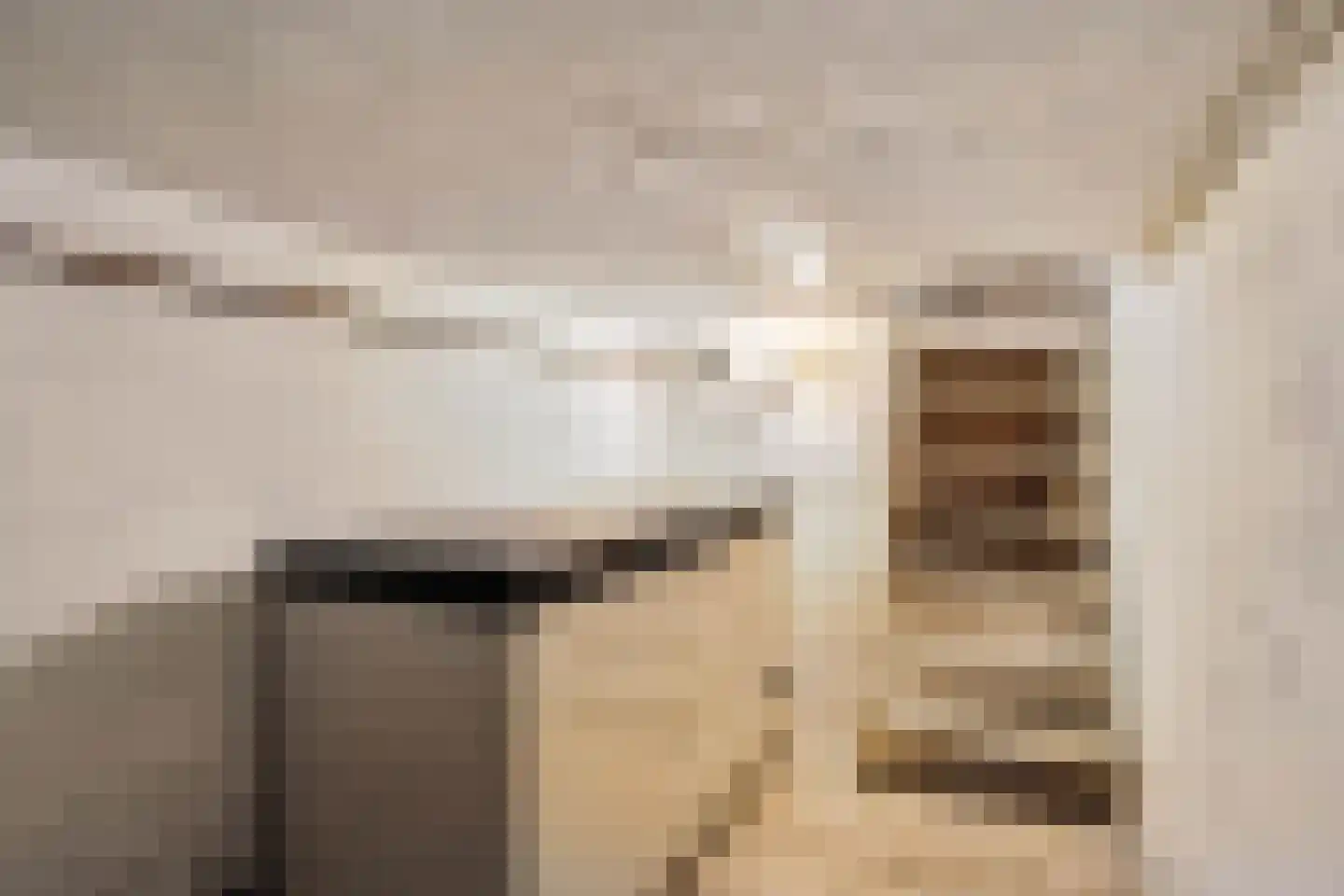 Campherbeeklaan 36 Zwolle thumbnail 42