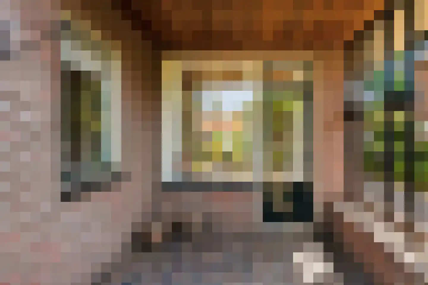 Campherbeeklaan 36 Zwolle thumbnail 45
