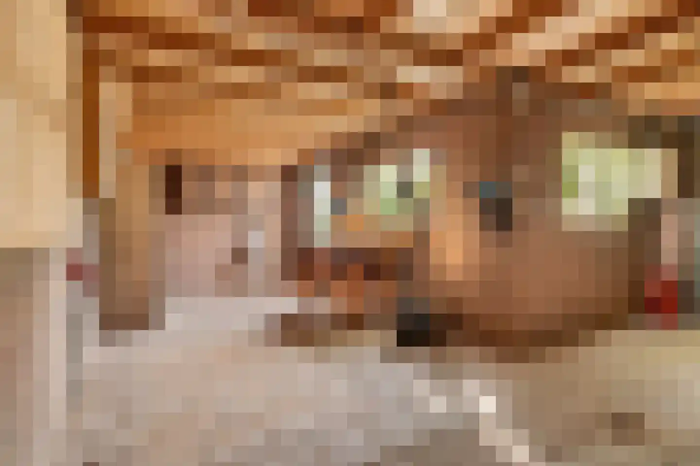 Campherbeeklaan 36 Zwolle thumbnail 51