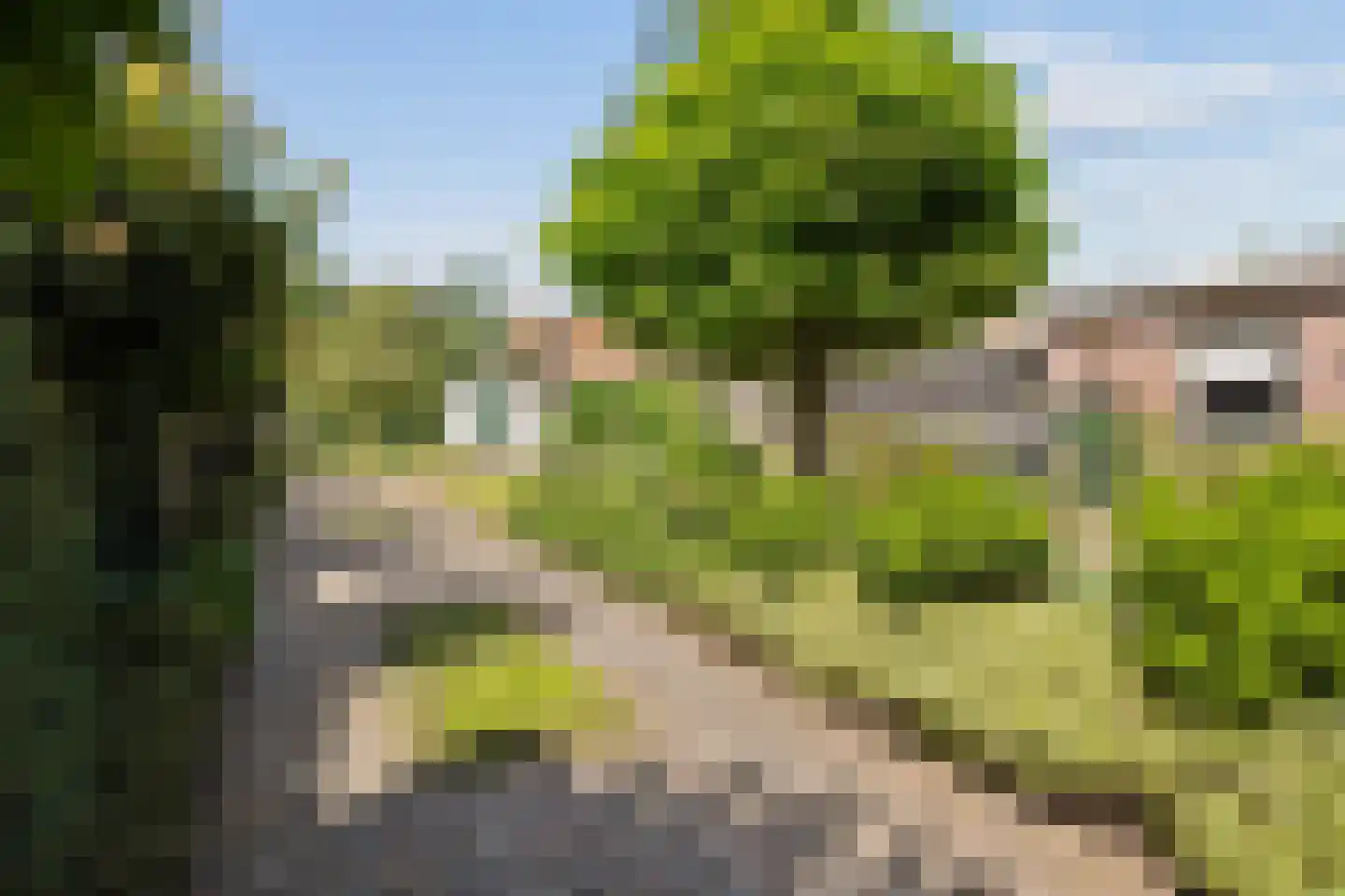 Campherbeeklaan 36 Zwolle thumbnail 54