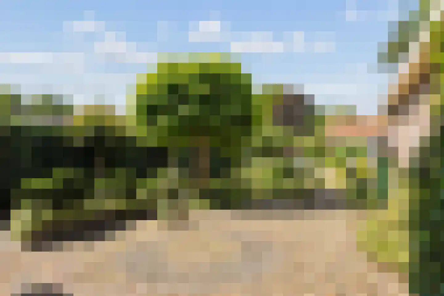 Campherbeeklaan 36 Zwolle thumbnail 56