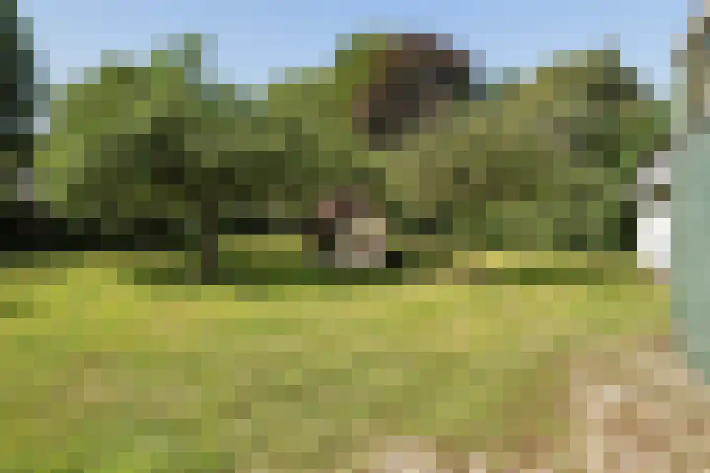 Campherbeeklaan 36 Zwolle thumbnail 57
