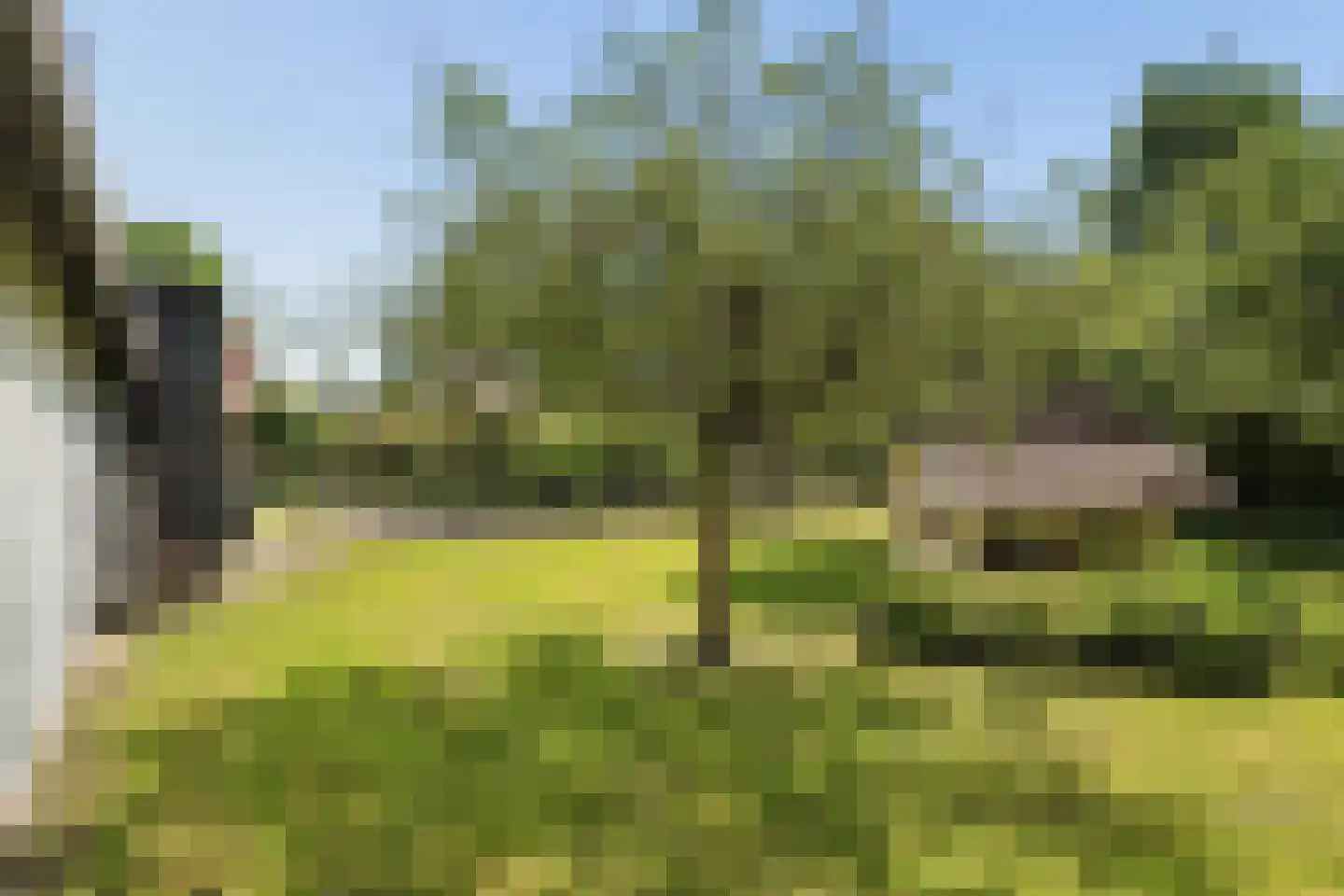 Campherbeeklaan 36 Zwolle thumbnail 59