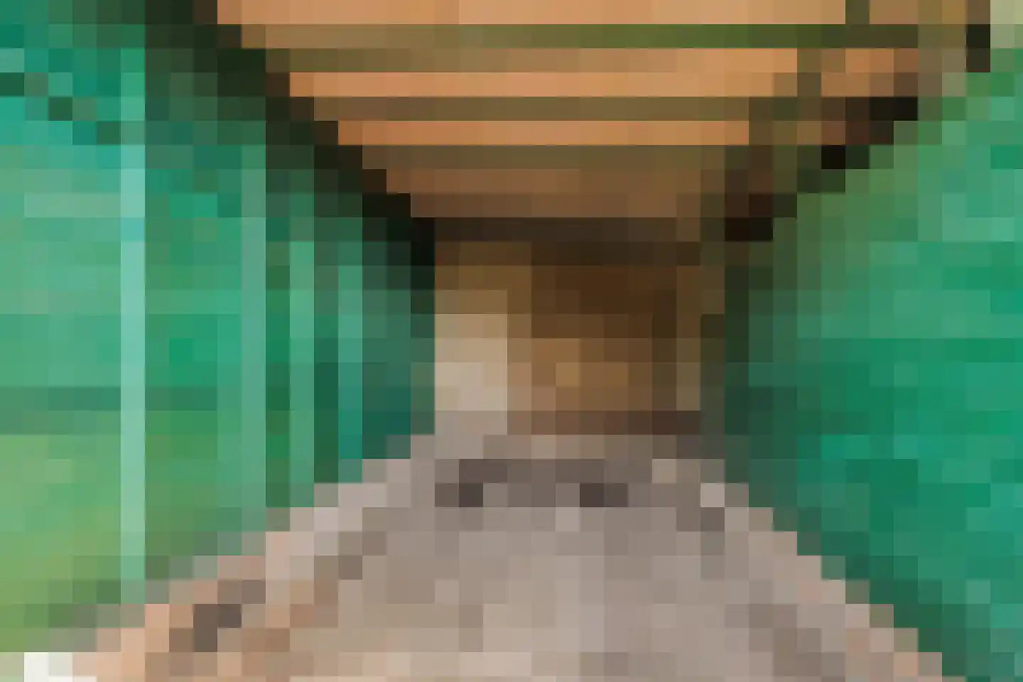 Campherbeeklaan 36 Zwolle thumbnail 61