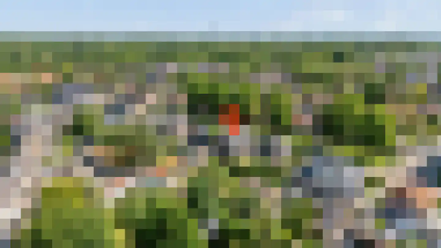 Campherbeeklaan 36 Zwolle thumbnail 72