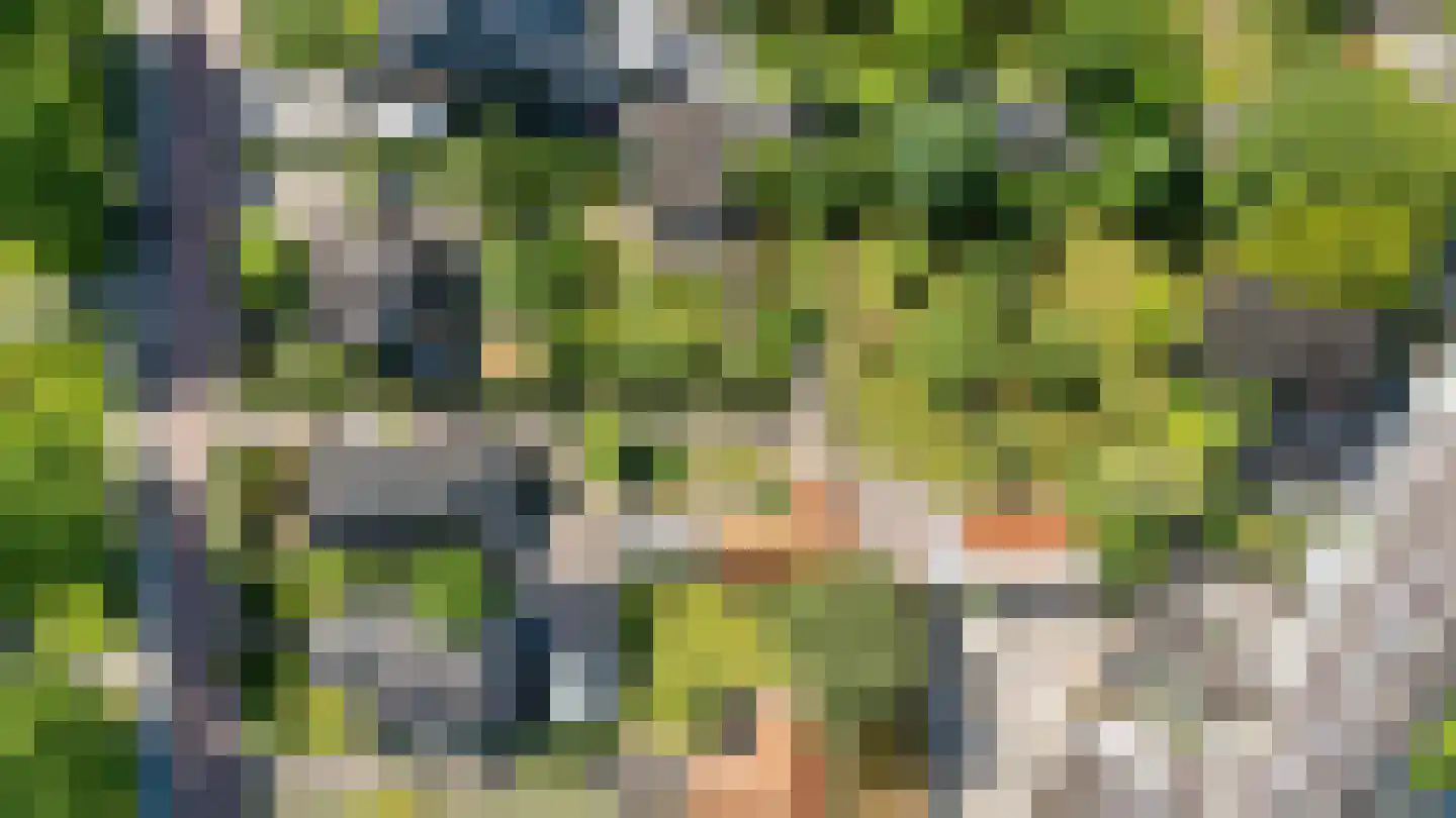 Campherbeeklaan 36 Zwolle thumbnail 73