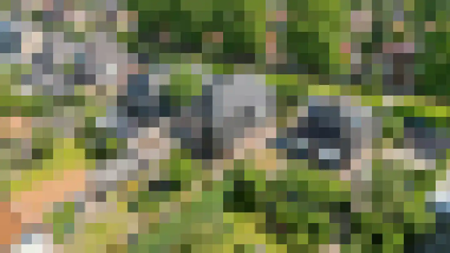 Campherbeeklaan 36 Zwolle thumbnail 75