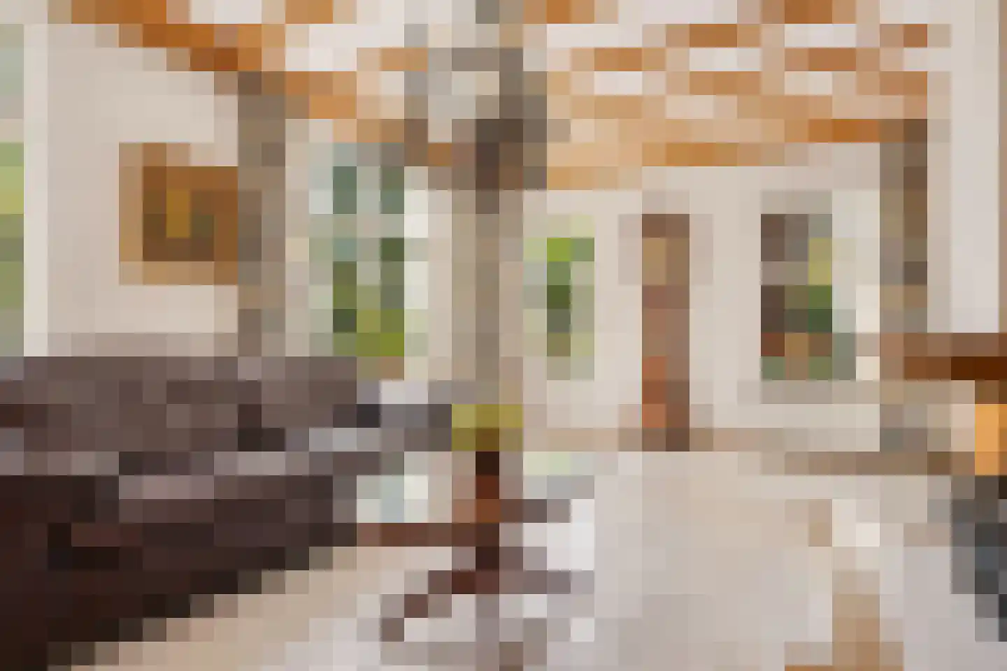 Campherbeeklaan 36 Zwolle thumbnail 9
