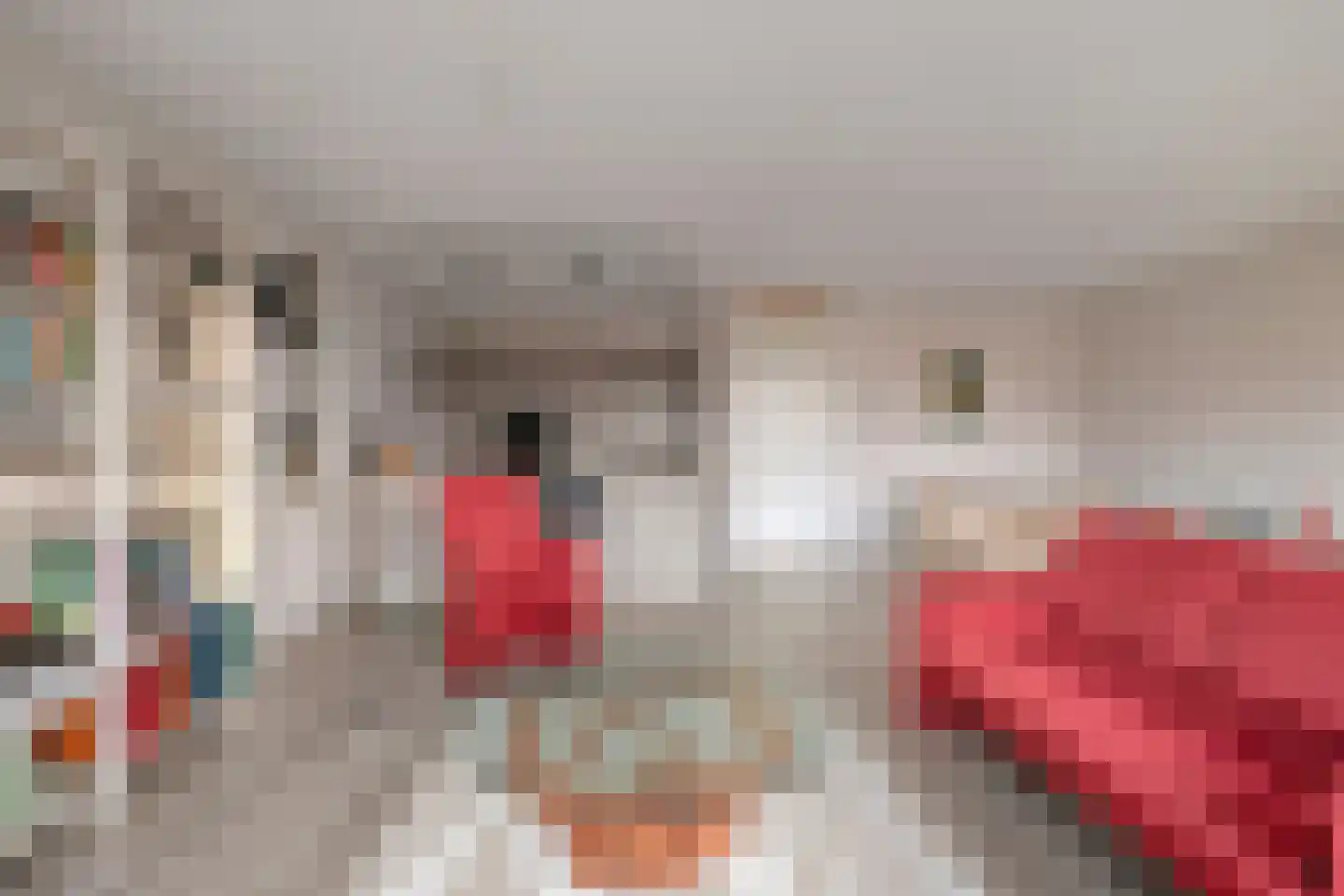 Campherbeeklaan 55 05 Zwolle thumbnail 10