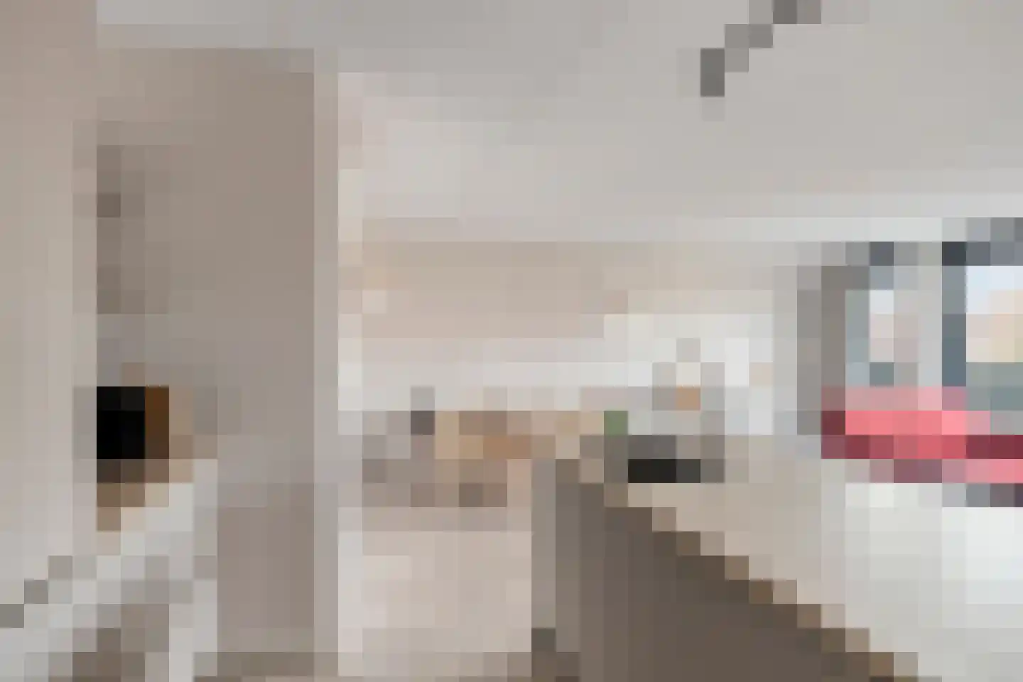 Campherbeeklaan 55 05 Zwolle thumbnail 14