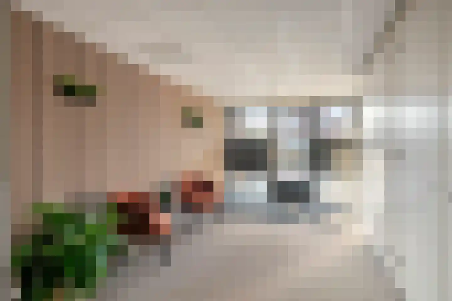Campherbeeklaan 55 05 Zwolle thumbnail 23