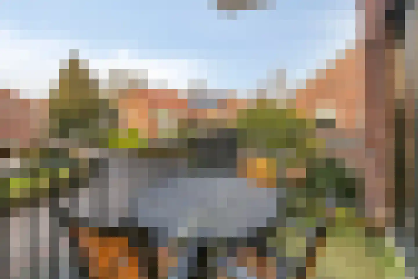 Campherbeeklaan 55 05 Zwolle thumbnail 26