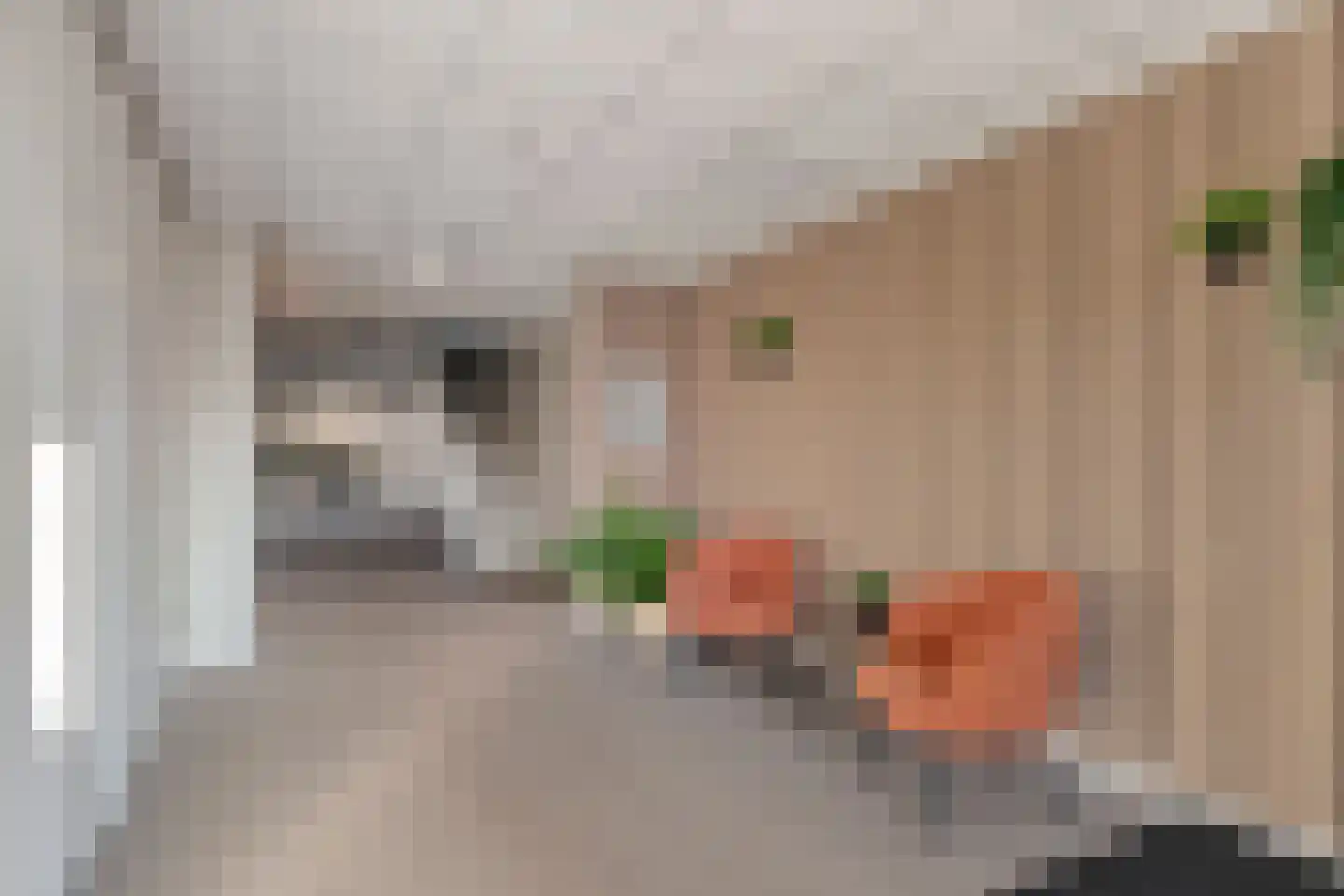 Campherbeeklaan 55 05 Zwolle thumbnail 29