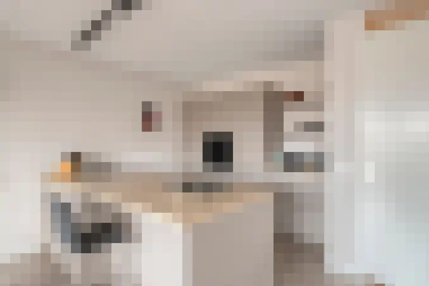Campherbeeklaan 55 05 Zwolle thumbnail 4