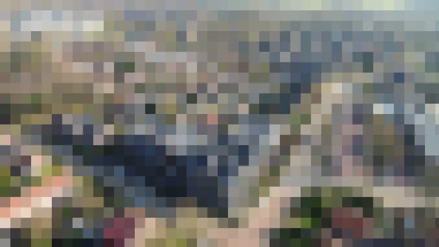 Campherbeeklaan 55 05 Zwolle thumbnail 41