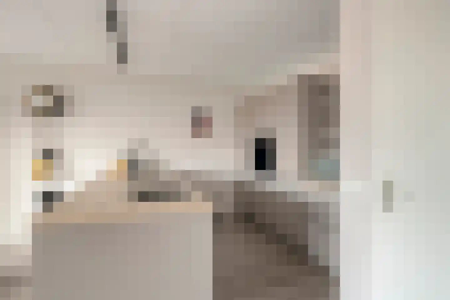 Campherbeeklaan 55 05 Zwolle thumbnail 6