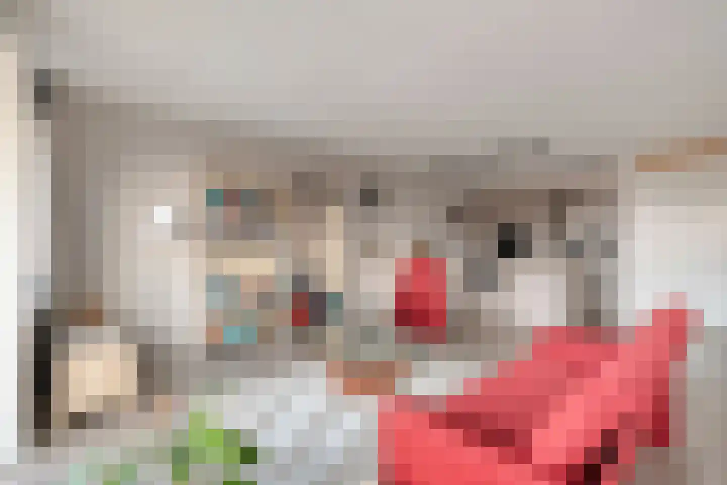 Campherbeeklaan 55 05 Zwolle thumbnail 8