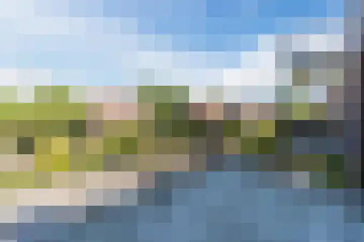 Campherbeeklaan 55 06 Zwolle thumbnail 14