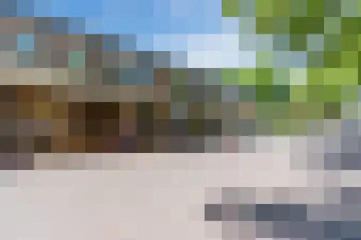 Campherbeeklaan 55 06 Zwolle thumbnail 28