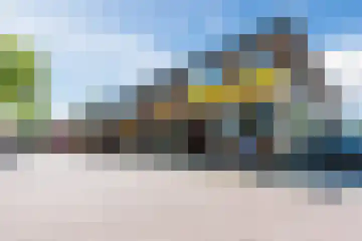 Campherbeeklaan 55 06 Zwolle thumbnail 29