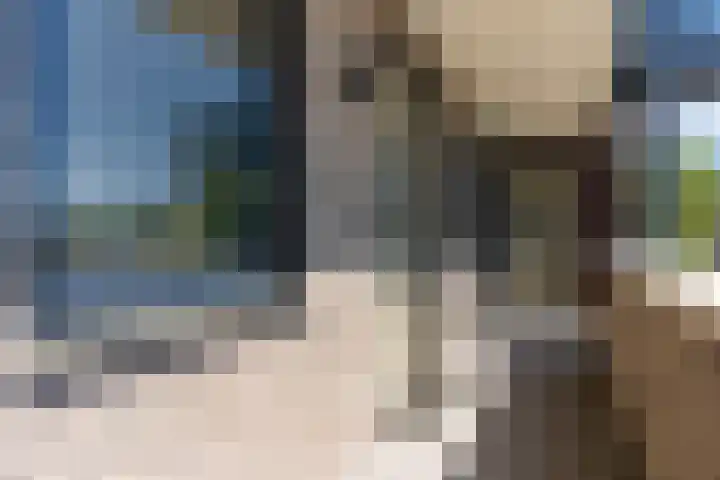 Campherbeeklaan 55 06 Zwolle thumbnail 6