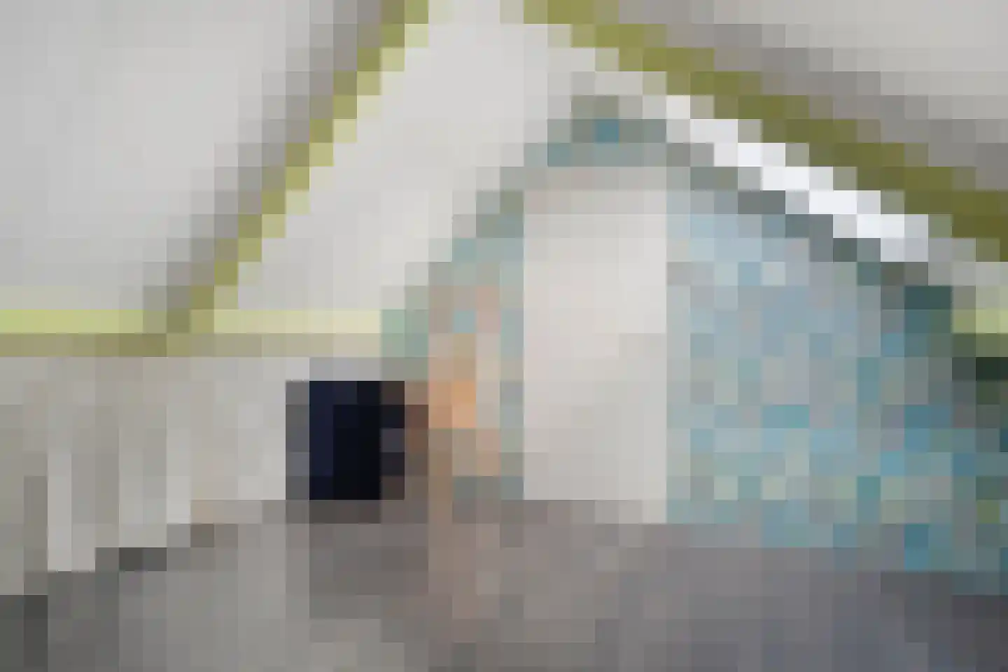 Campherbeeklaan 79 Zwolle thumbnail 27